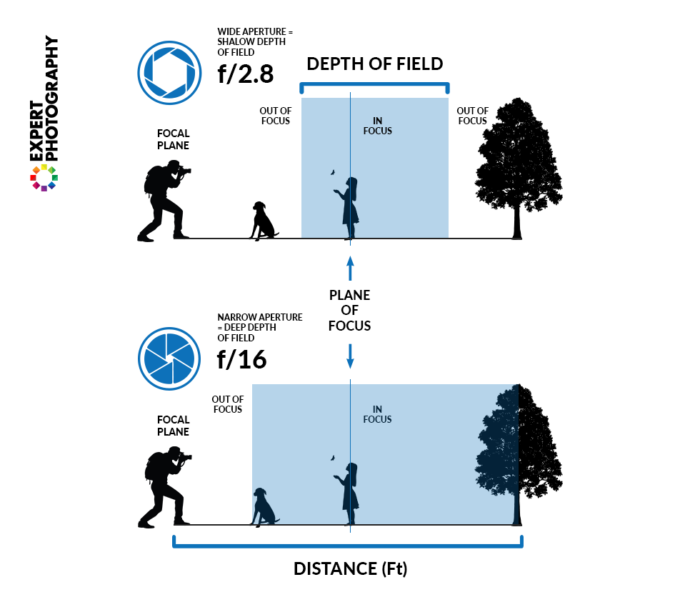 Detailed diagram explaining how aperture affects depth of field