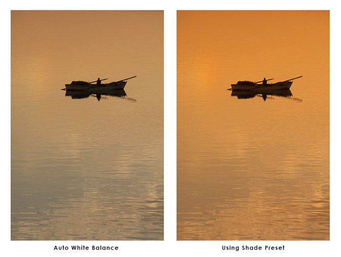 Shade Preset comparison diptych