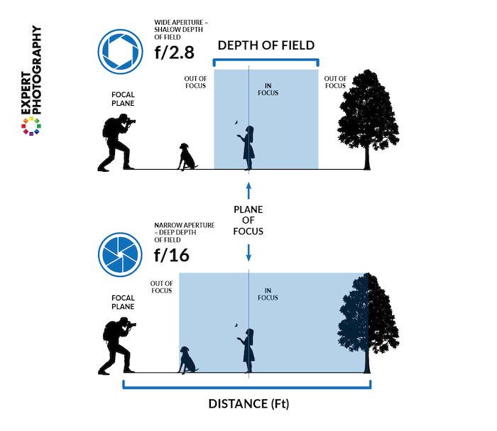 An infographic illustrating what depth of field is