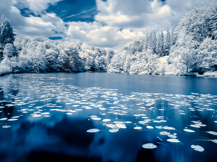 False color infrared photo of the pond in the “Domaine Solvay - Chateaux de la Hulpe”, La Hulpe (Belgium).