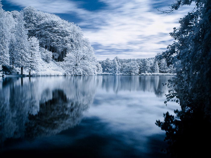 An infrared photography view of the pond in the Domaine Solvay (La Hulpe, Belgium).