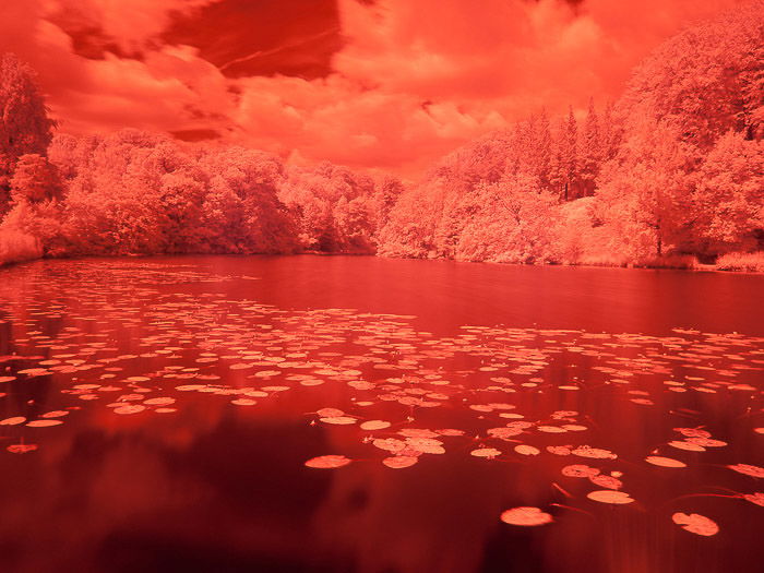 An eye-catching red pond at Chateau de la Hulpe, Belgium captured through infrared photography