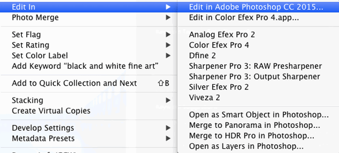 screenshot of choosing an image to edit in photoshop