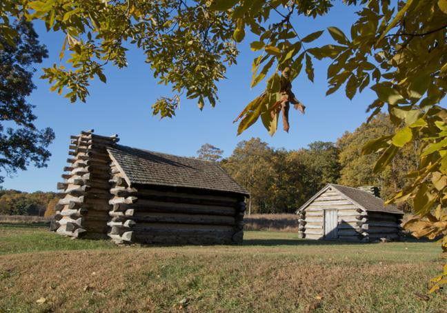 Using leaves to frame a scene of two cabins