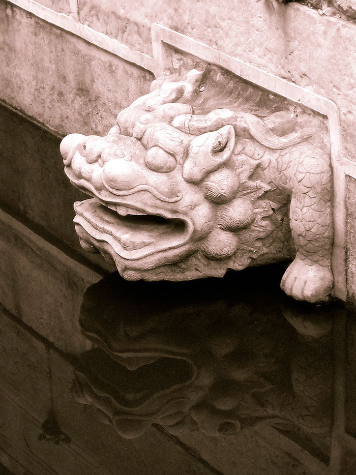 Black and white contrast demonstrated by dragon head sculpture and water