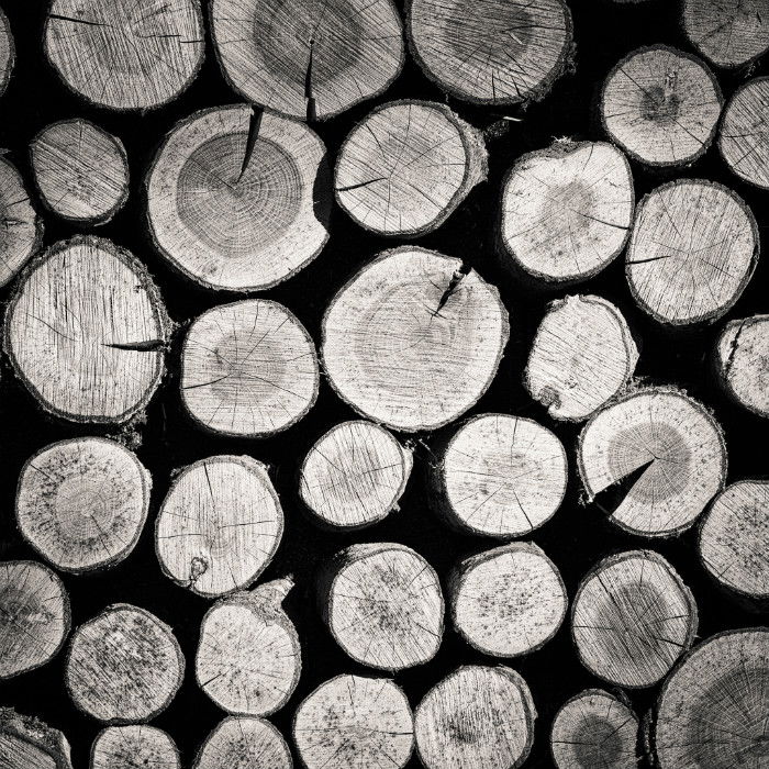 Black and white photo of stacked cut logs showing wood texture