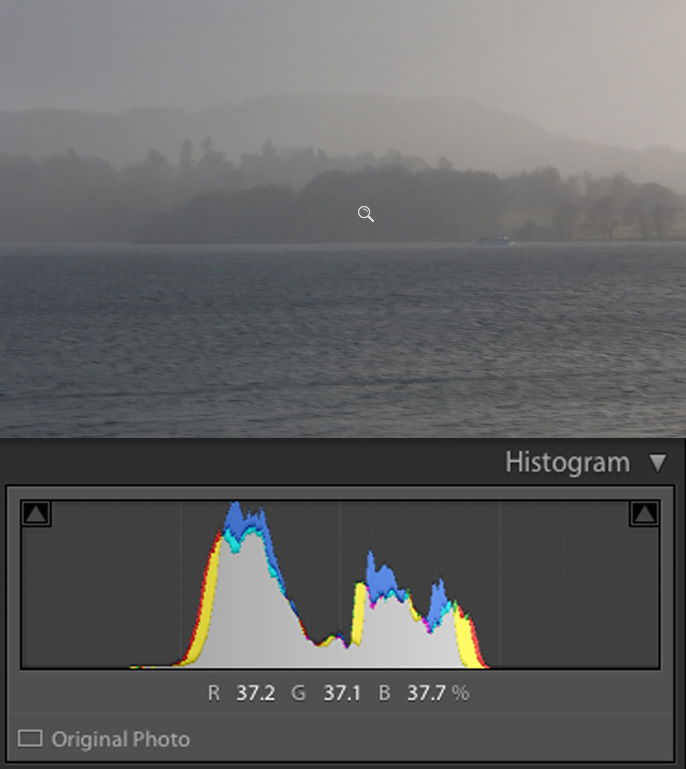 A histogram showing a bland image with no extreme contrast.