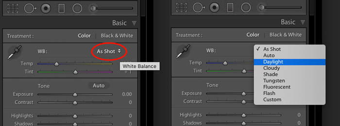 A screenshot of setting the White Balance in the Lightroom Develop Module 