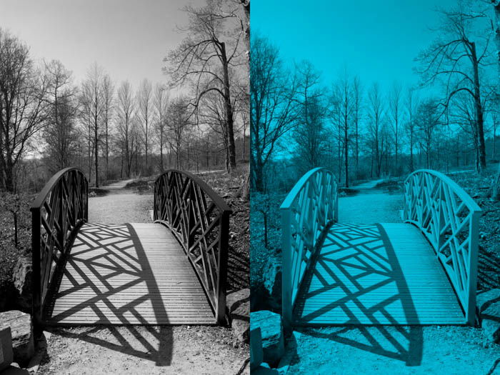 Diptych showing difference between a B&W (left) and monochrome (right) photo of a bridge