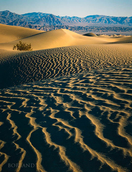 desert photography showing lines in the foreground, dunes and mountains in the background