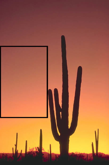 A scene of the desert during sunset, featuring a prominent cactus and sky. 