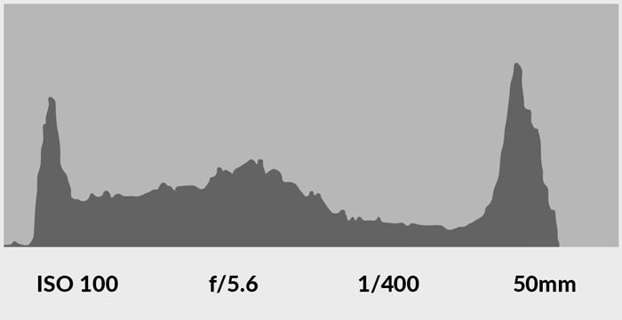 screenshot of a camera histogram