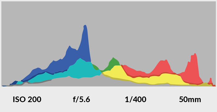 Screenshot of a camera histogram