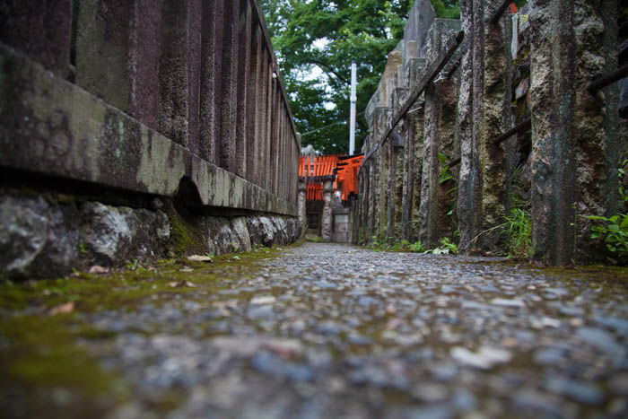 low perspective photograph of an empty street