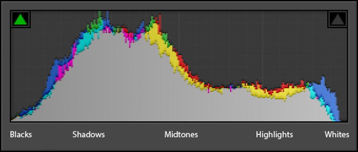 Use the histogram to your advantage in your food photography