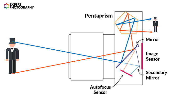 Illustration showing how a DSLR camera works