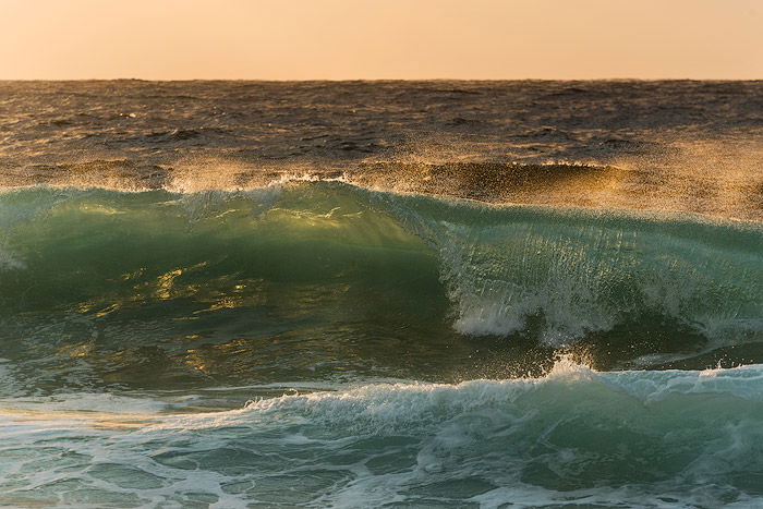 transparent waves in the ocean