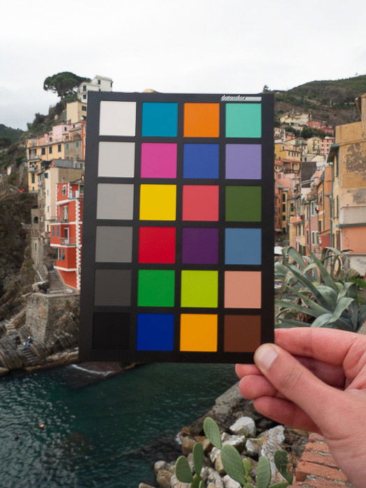 A person holding a color checker 