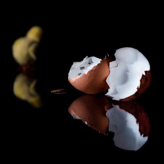 A creative eggshell and chicken prison photograph