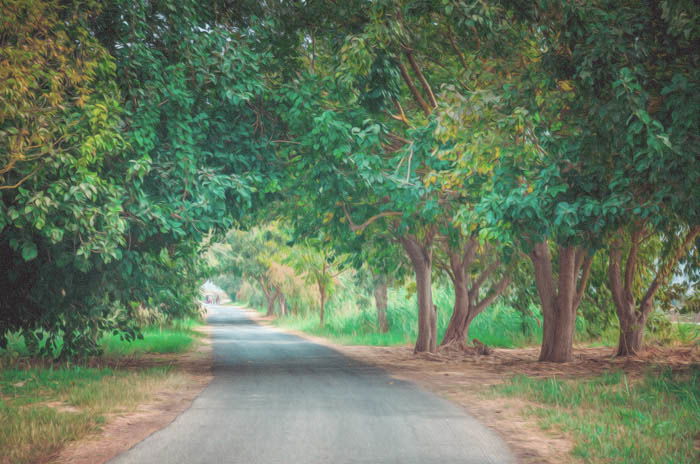 A photo of a tree framed country road, turned into a painting with photoshop