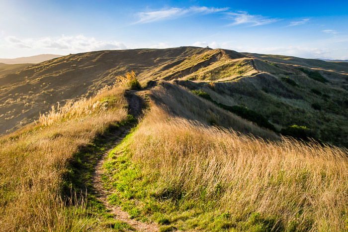 A bright grassy landscape on a bright day demonstrating leading lines in landscape photography composition