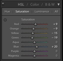 Lightroom Food Photography saturations sliders