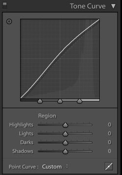 A screenshot of region curve in Lightroom