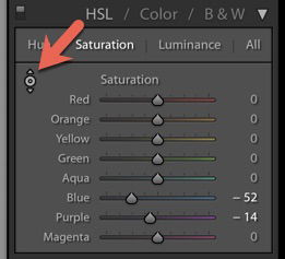 Shot of Adobe Lightroom interface editing a close up of a person holding a plate of salad.