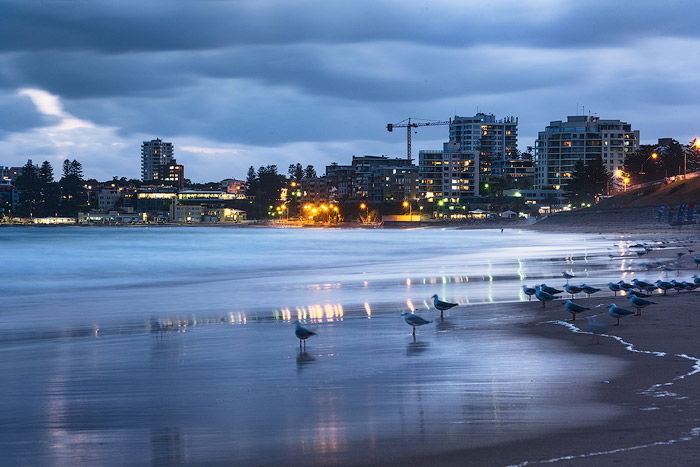 Evening seascape with a flock of seagulls near the shore, a cityscape in the background reflected in the sea. 