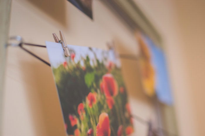 A photograph of red flowers hanging by a small clothespin on an elastic string and hook on a frame as an idea for what to do with photos