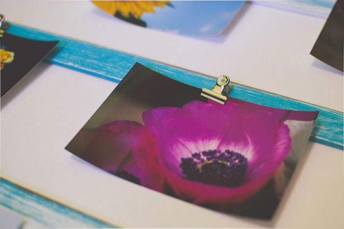 A photo of a purple flower attached to a green board with a binder clip as an idea of what to do with photos