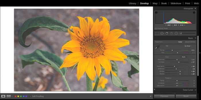 Screenshot of Adobe Lightroom editing flower photography 