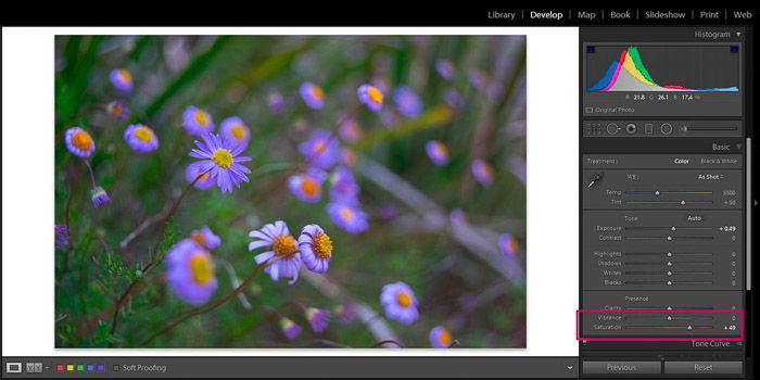 Screenshot of Adobe Lightroom editing flower photography - Lightroom editing view modes