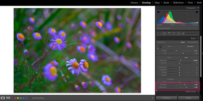 Screenshot of Adobe Lightroom editing flower photography - Lightroom editing tips