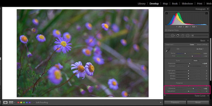 Screenshot of Adobe Lightroom editing flower photography - Lightroom editing vibrance