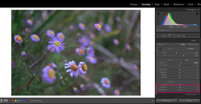 Screenshot of Adobe Lightroom editing flower photography - Lightroom editing tips