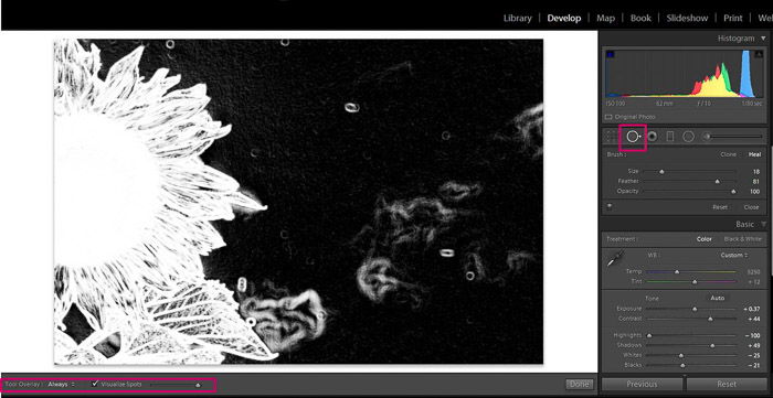 Screenshot of Adobe Lightroom spot removal tool for editing flower photography 