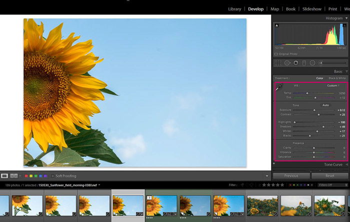 Screenshot of Adobe Lightroom editing flower photography - Lightroom global adjustments panel