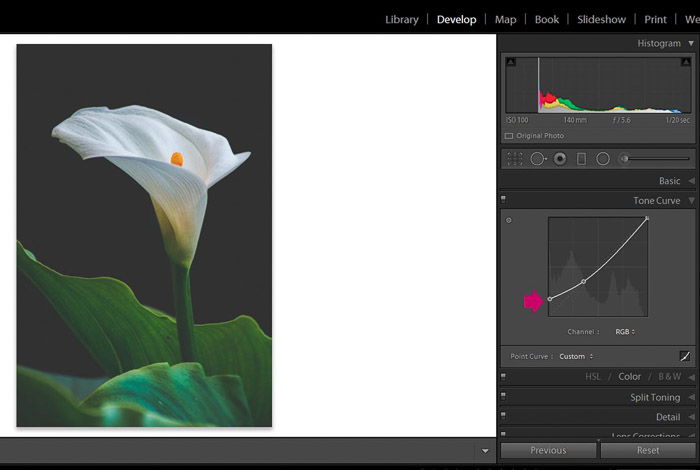 Screenshot of Adobe Lightroom editing flower photography - Lightroom editing view modes