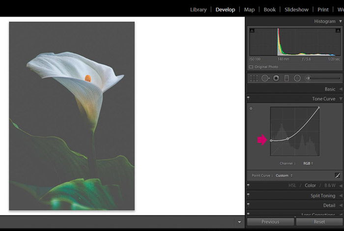 Screenshot of Adobe Lightroom editing flower photography - Lightroom editing view modes