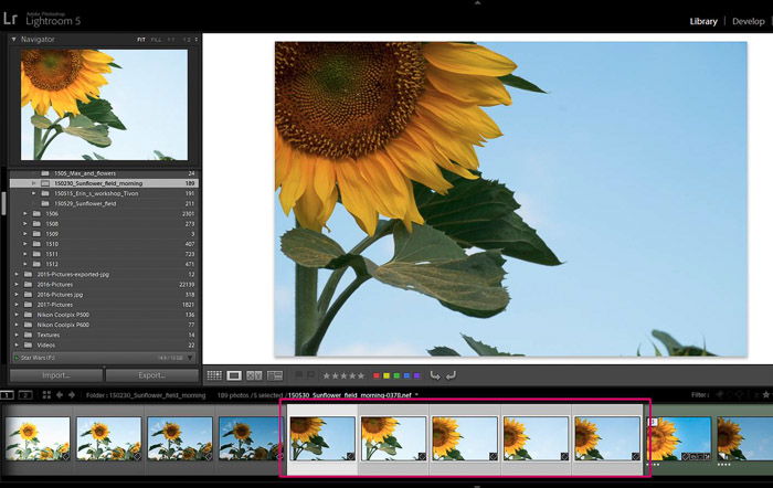 Screenshop of Adobe Lightroom opened on a flower photo - Lightroom editing tips