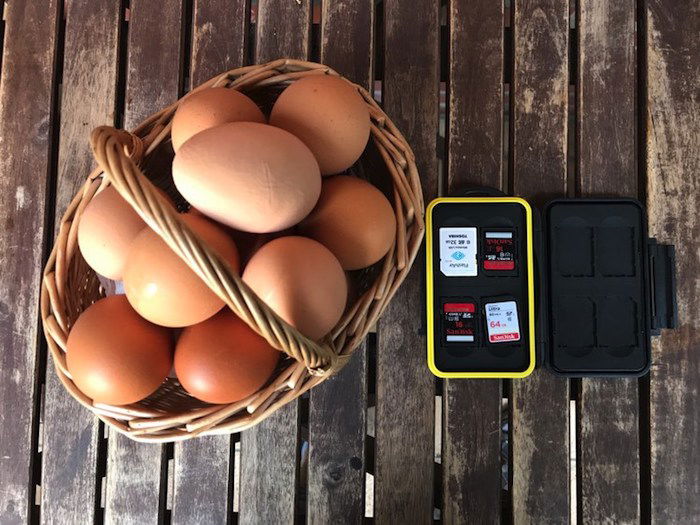 Don't put all of your eggs in the same basket, nor all your SD cards in the same place.