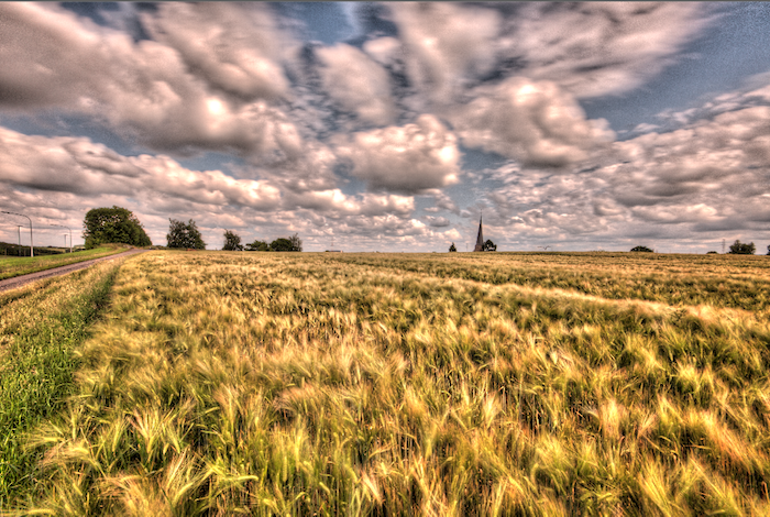 Black puffy clouds on a sunny afternoon over fields. Over processed HDR photography.