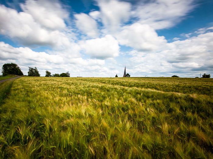 Calm and bright countryside landscape using HDR photography