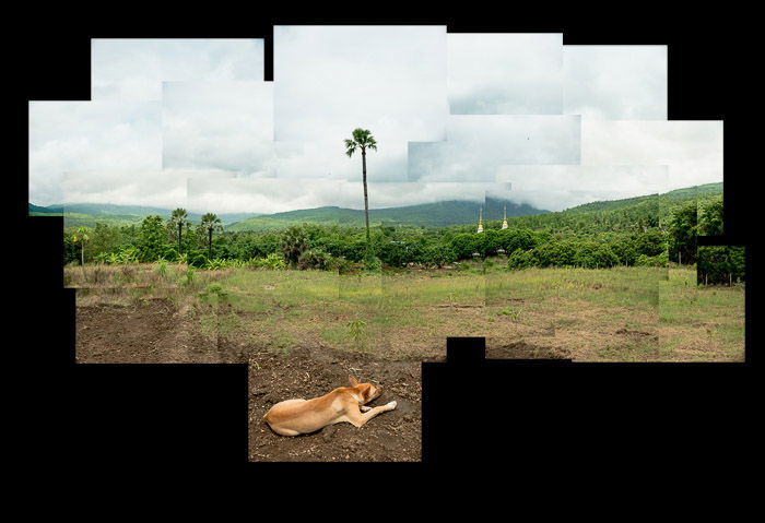 A photomontage of fields and hills in Thailand as part of a tutorial on how to make a photomontage.