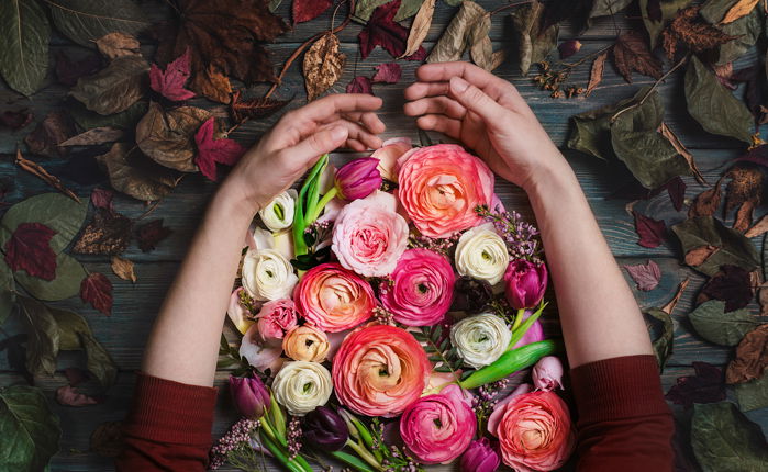 Overhead shot of a person's arms holding flowers on a dark background