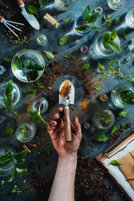 Overhead botanical still life photography idea with plants, dirt, jars, gardening tools, and a hand holding a small shovel