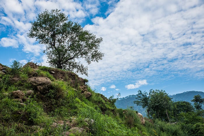 A beautiful landscape photography shot on a bright day - aspect ratio photography