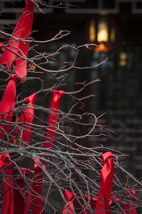 Red ribbons tied to a leafless tree on a dull, grey day.