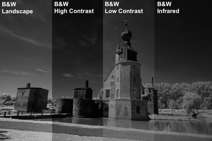 an image divided in 4 to show the Comparison between some B&W presets on an infrared image.